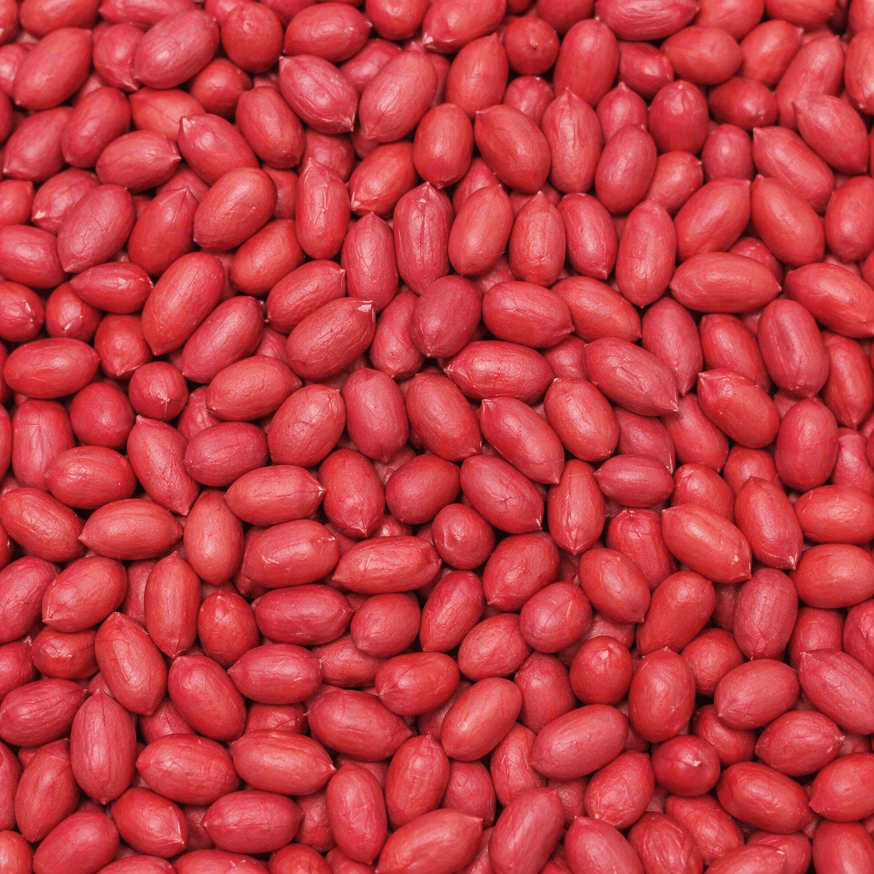 Bold Groundnuts